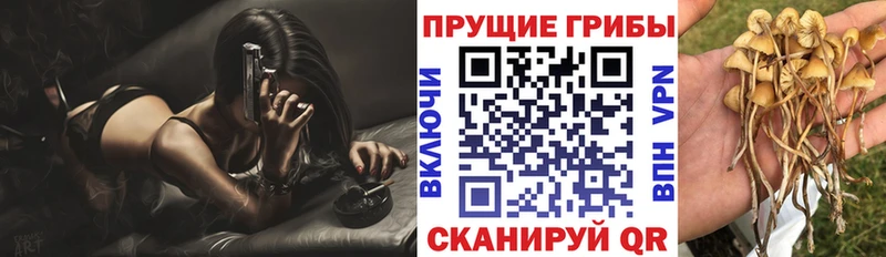 Галлюциногенные грибы GOLDEN TEACHER  где можно купить наркотик  KRAKEN tor  Яранск 